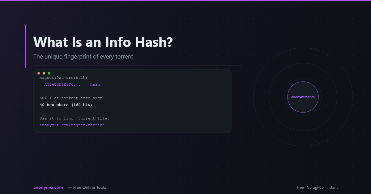 What Is an Info Hash in BitTorrent?